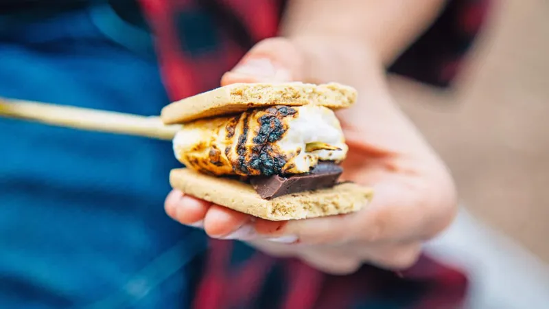 National S'mores Day & Movie Night @ Glendale Valley Campground