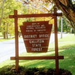 Prince Gallitzin State Park In Patton, PA