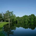 Glendale Valley Campground Offers a Tranquil Escape for Nature Lovers Amid the Scenic Glendale Valley.