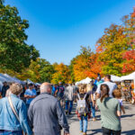 prince gallitzin state park apple cider festival