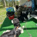 pet friendly camping central pa