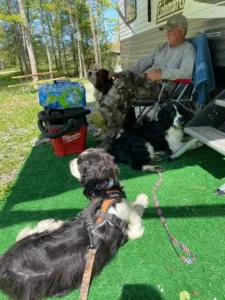 pet friendly camping central pa