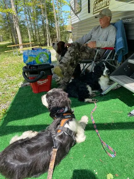 Pet-friendly Camping: Bringing Your Dog to Glendale Valley and Nearby Trails